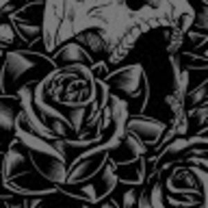 Meet your Posher, Very random